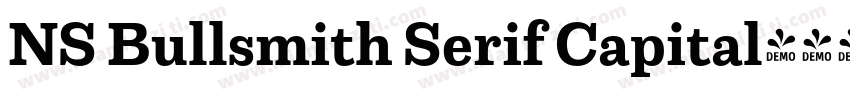 NS Bullsmith Serif Capital字体转换